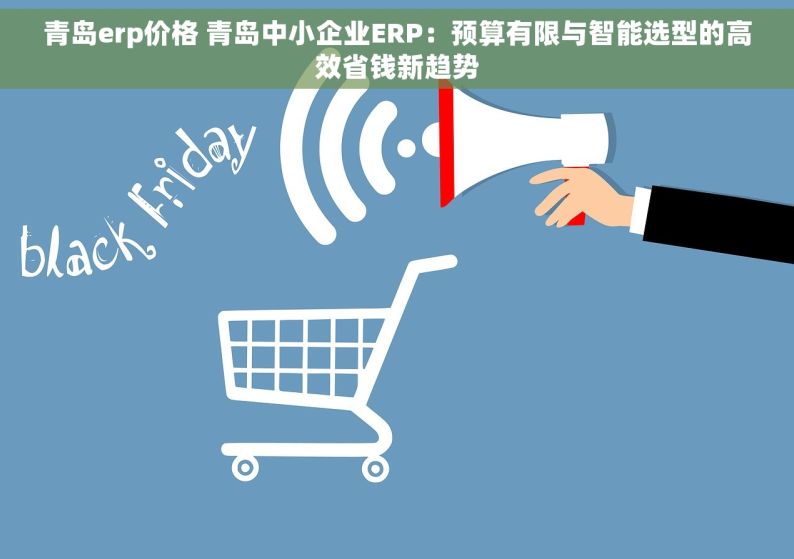 青岛erp价格 青岛中小企业ERP：预算有限与智能选型的高效省钱新趋势