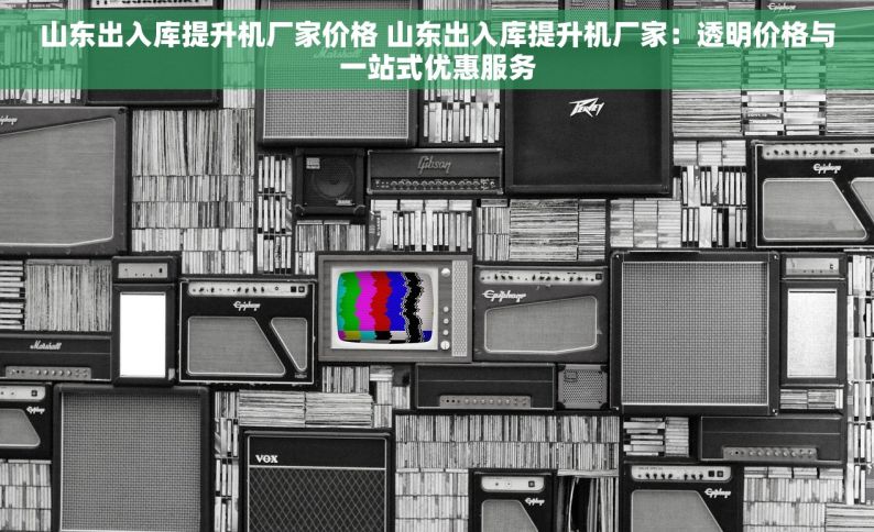 山东出入库提升机厂家价格 山东出入库提升机厂家：透明价格与一站式优惠服务