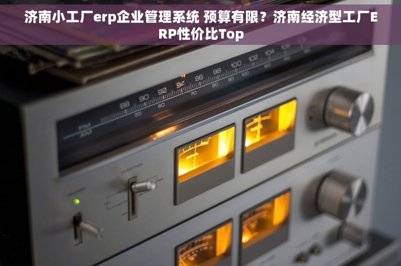 济南小工厂erp企业管理系统 预算有限？济南经济型工厂ERP性价比Top