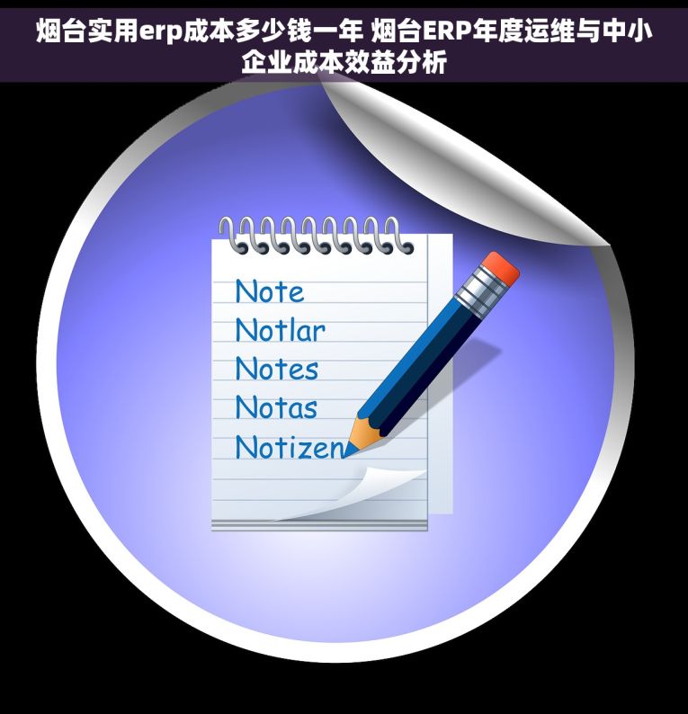 烟台实用erp成本多少钱一年 烟台ERP年度运维与中小企业成本效益分析