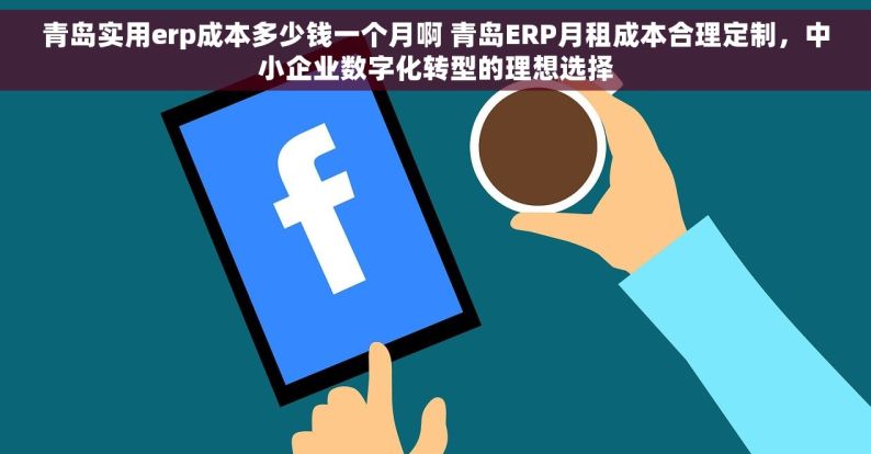 青岛实用erp成本多少钱一个月啊 青岛ERP月租成本合理定制，中小企业数字化转型的理想选择