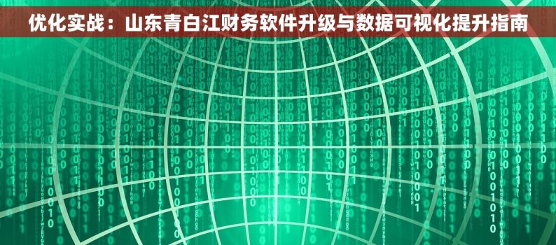 优化实战：山东青白江财务软件升级与数据可视化提升指南