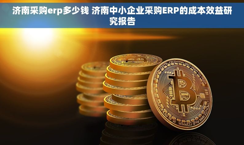 济南采购erp多少钱 济南中小企业采购ERP的成本效益研究报告