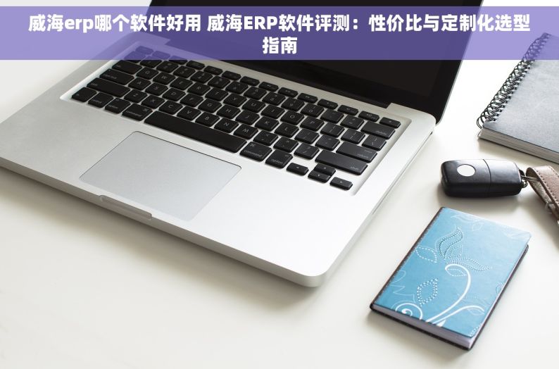 威海erp哪个软件好用 威海ERP软件评测：性价比与定制化选型指南