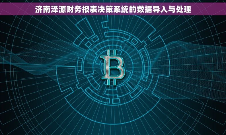 济南泽源财务报表决策系统的数据导入与处理