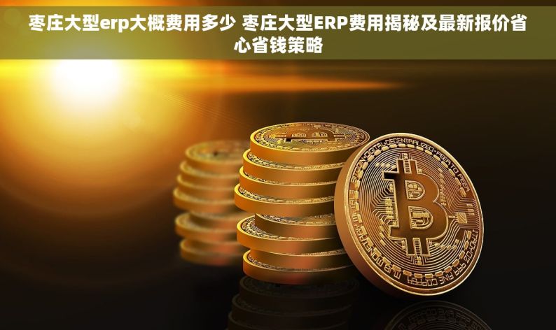 枣庄大型erp大概费用多少 枣庄大型ERP费用揭秘及最新报价省心省钱策略