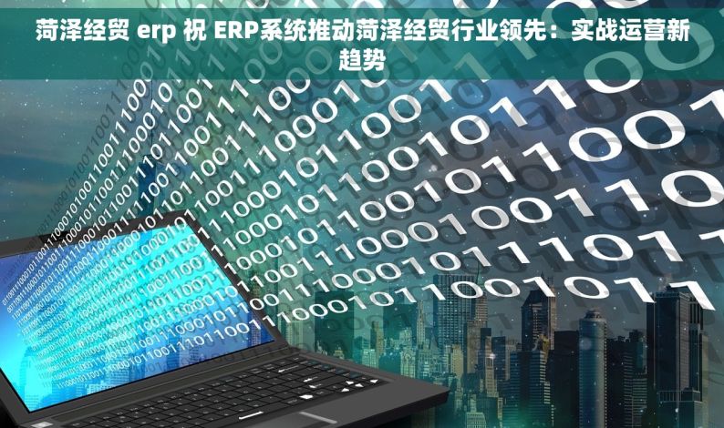 菏泽经贸 erp 祝 ERP系统推动菏泽经贸行业领先：实战运营新趋势