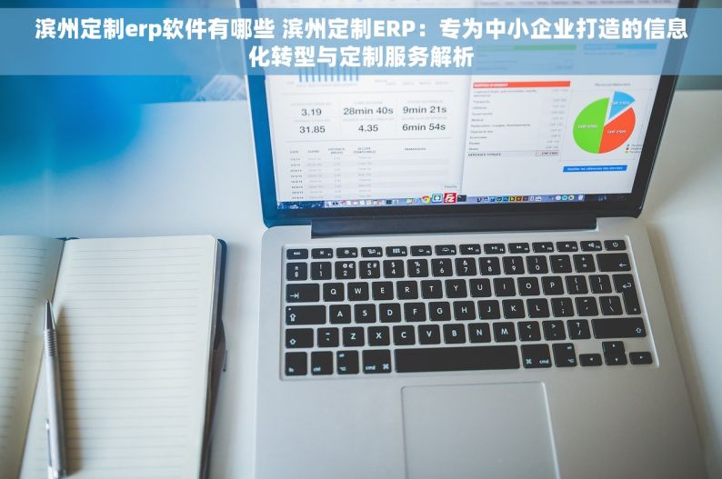 滨州定制erp软件有哪些 滨州定制ERP：专为中小企业打造的信息化转型与定制服务解析