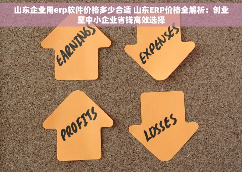 山东企业用erp软件价格多少合适 山东ERP价格全解析：创业至中小企业省钱高效选择