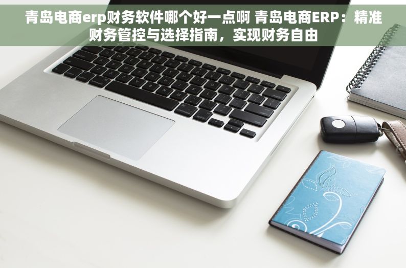 青岛电商erp财务软件哪个好一点啊 青岛电商ERP：精准财务管控与选择指南，实现财务自由