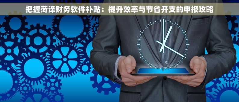 把握菏泽财务软件补贴：提升效率与节省开支的申报攻略