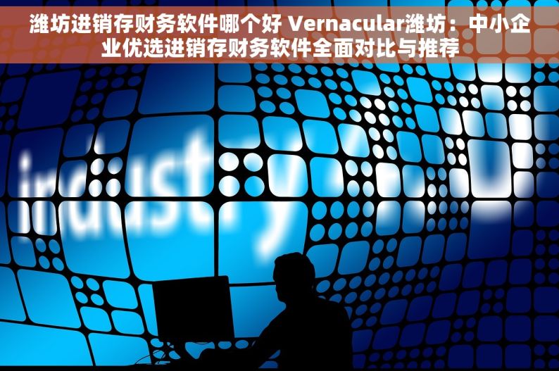 潍坊进销存财务软件哪个好 Vernacular潍坊：中小企业优选进销存财务软件全面对比与推荐