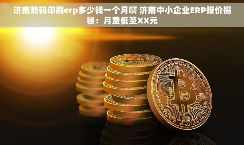 济南数码印刷erp多少钱一个月啊 济南中小企业ERP报价揭秘：月费低至XX元