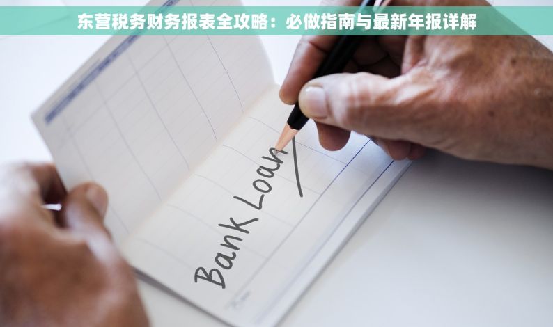 东营税务财务报表全攻略：必做指南与最新年报详解