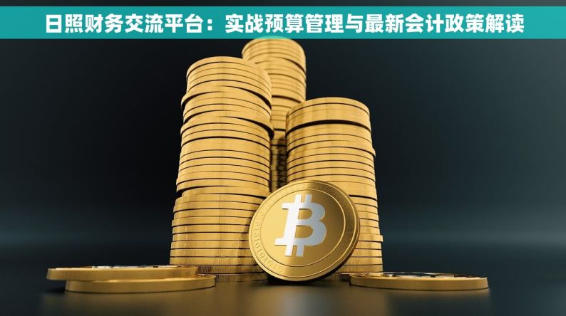 日照财务交流平台：实战预算管理与最新会计政策解读