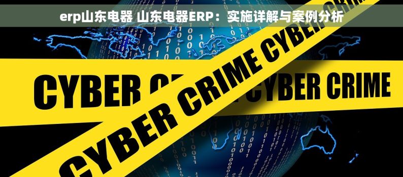 erp山东电器 山东电器ERP：实施详解与案例分析