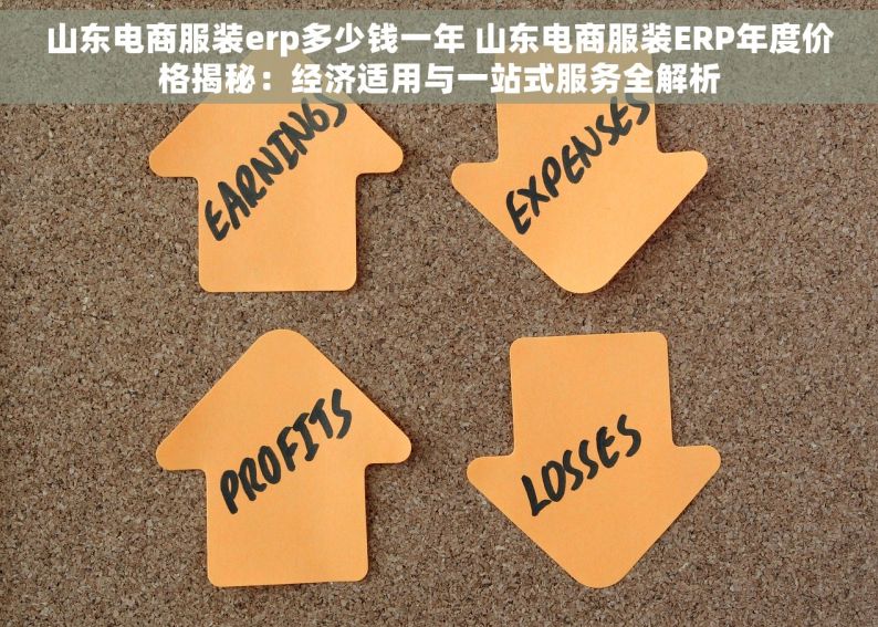 山东电商服装erp多少钱一年 山东电商服装ERP年度价格揭秘：经济适用与一站式服务全解析