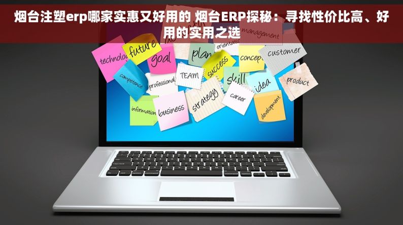 烟台注塑erp哪家实惠又好用的 烟台ERP探秘：寻找性价比高、好用的实用之选