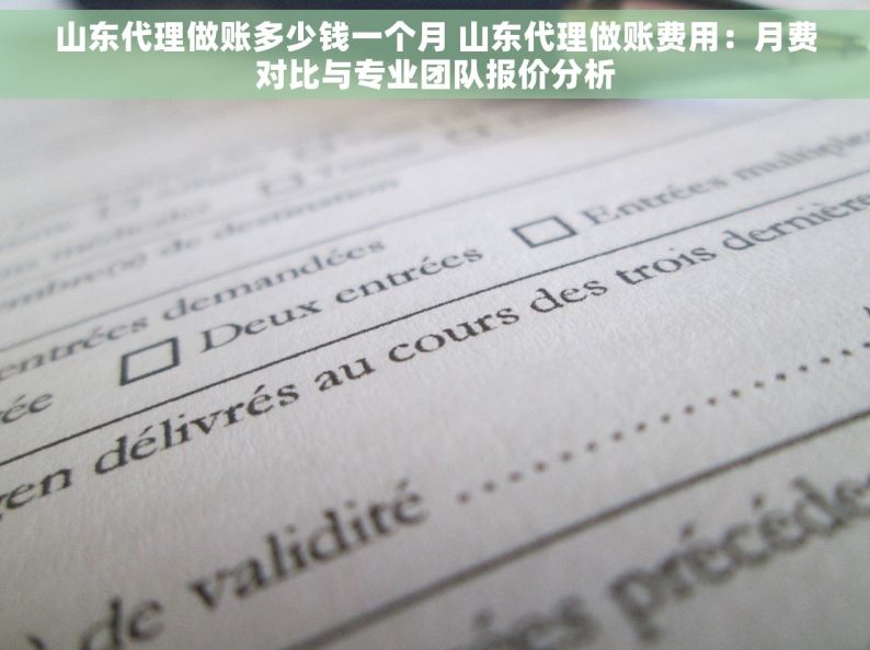 山东代理做账多少钱一个月 山东代理做账费用：月费对比与专业团队报价分析