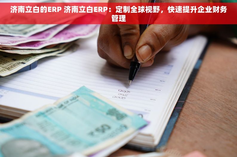 济南立白的ERP 济南立白ERP：定制全球视野，快速提升企业财务管理