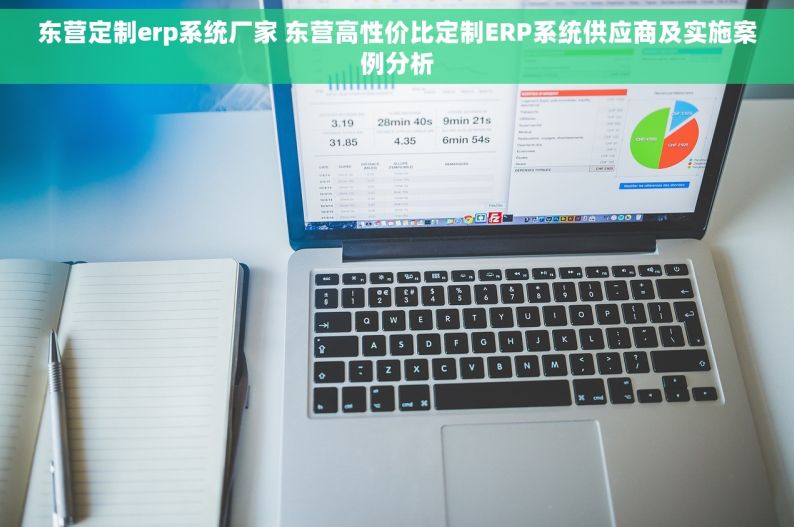 东营定制erp系统厂家 东营高性价比定制ERP系统供应商及实施案例分析