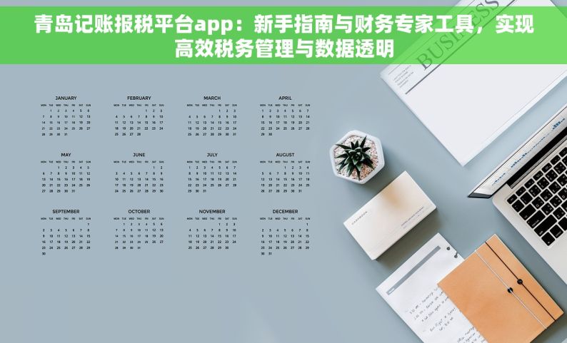 青岛记账报税平台app：新手指南与财务专家工具，实现高效税务管理与数据透明