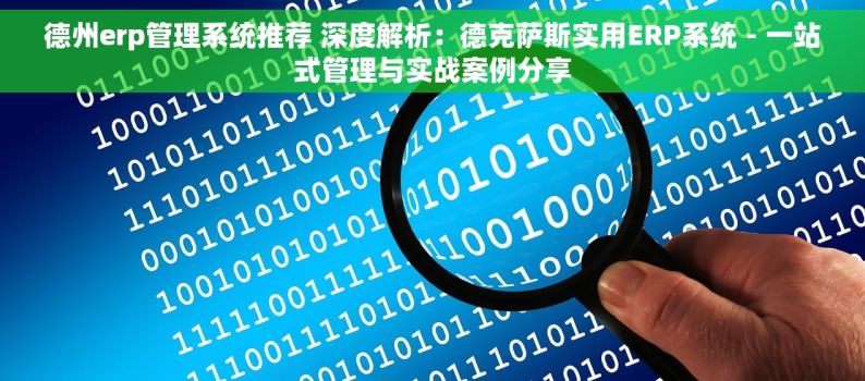 德州erp管理系统推荐 深度解析：德克萨斯实用ERP系统 - 一站式管理与实战案例分享