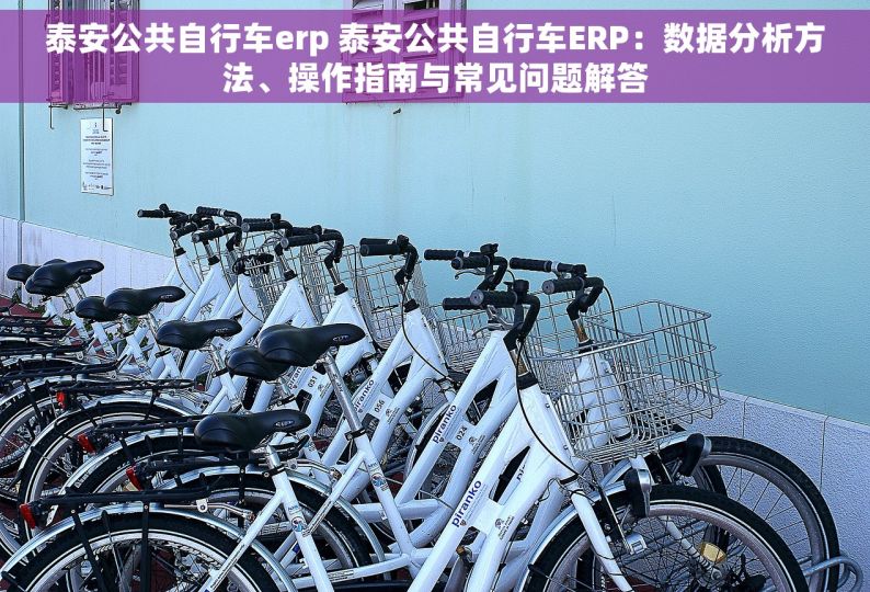 泰安公共自行车erp 泰安公共自行车ERP：数据分析方法、操作指南与常见问题解答