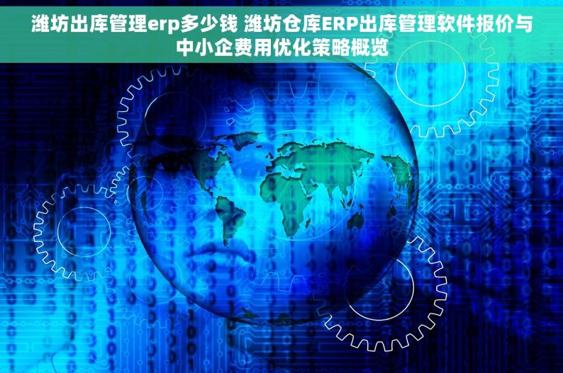 潍坊出库管理erp多少钱 潍坊仓库ERP出库管理软件报价与中小企费用优化策略概览