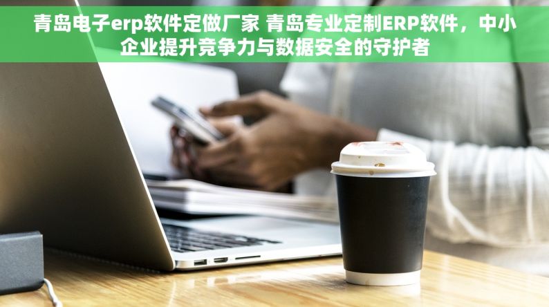 青岛电子erp软件定做厂家 青岛专业定制ERP软件，中小企业提升竞争力与数据安全的守护者