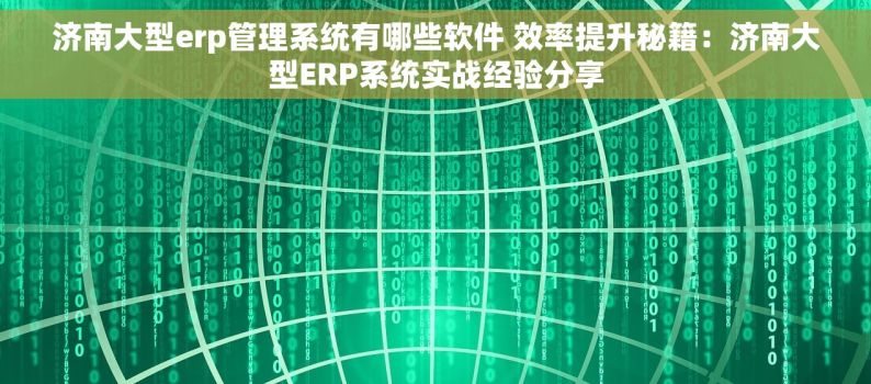 济南大型erp管理系统有哪些软件 效率提升秘籍：济南大型ERP系统实战经验分享