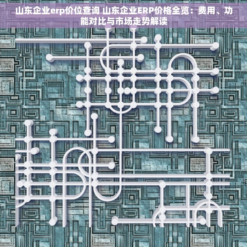 山东企业erp价位查询 山东企业ERP价格全览：费用、功能对比与市场走势解读