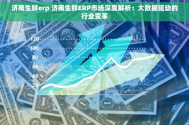 济南生鲜erp 济南生鲜ERP市场深度解析：大数据驱动的行业变革