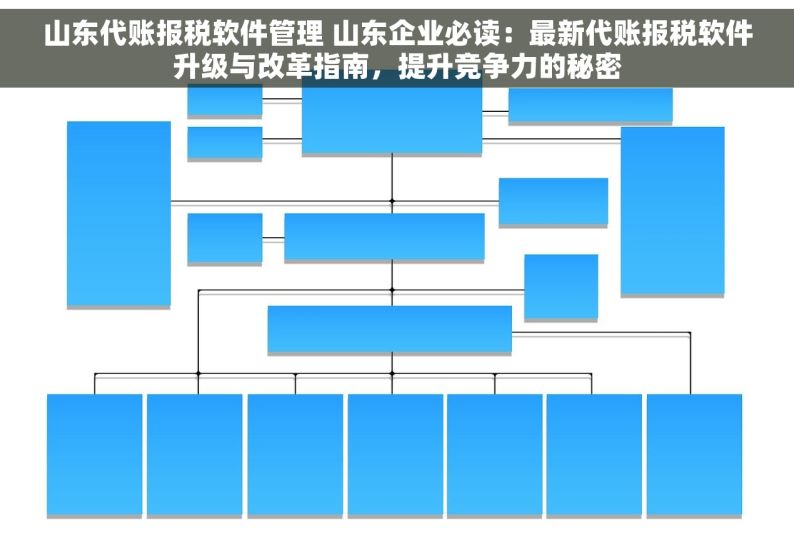 山东代账报税软件管理 山东企业必读：最新代账报税软件升级与改革指南，提升竞争力的秘密