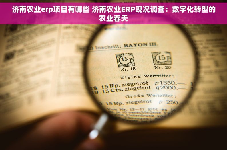 济南农业erp项目有哪些 济南农业ERP现况调查：数字化转型的农业春天