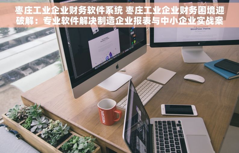 枣庄工业企业财务软件系统 枣庄工业企业财务困境迎破解：专业软件解决制造企业报表与中小企业实战案例