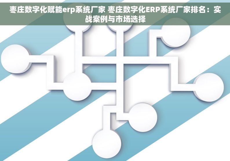 枣庄数字化赋能erp系统厂家 枣庄数字化ERP系统厂家排名：实战案例与市场选择