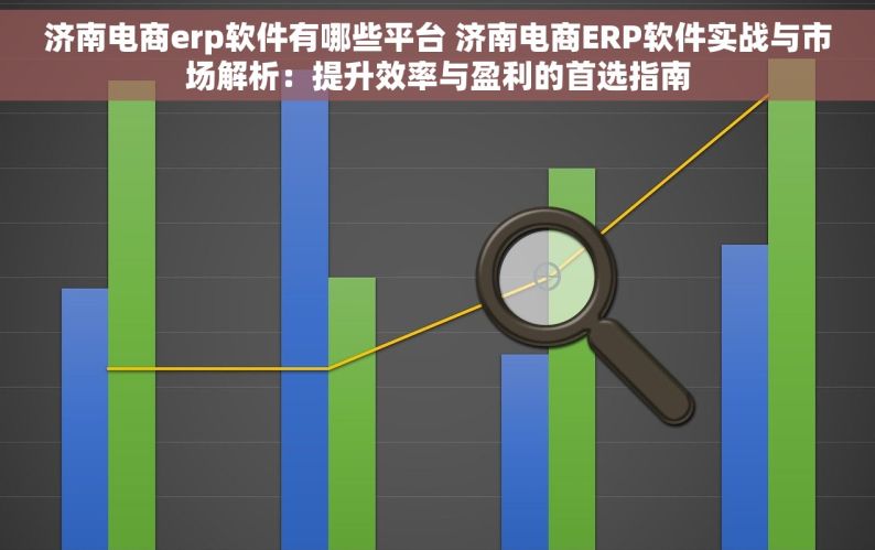 济南电商erp软件有哪些平台 济南电商ERP软件实战与市场解析：提升效率与盈利的首选指南