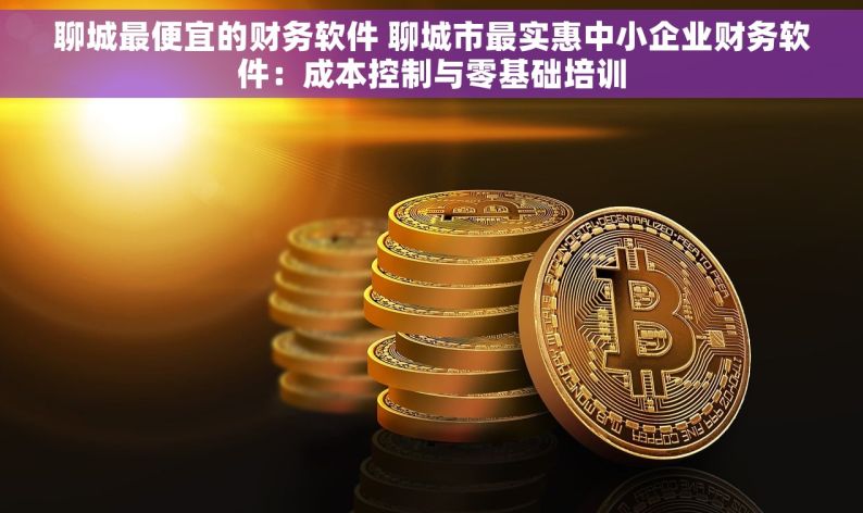 聊城最便宜的财务软件 聊城市最实惠中小企业财务软件：成本控制与零基础培训