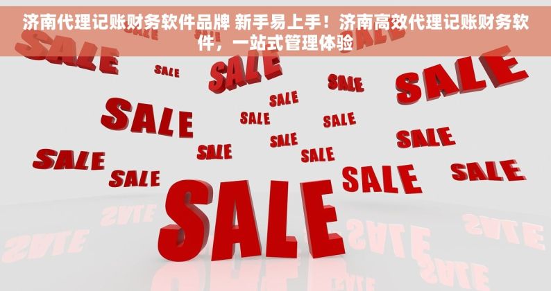 济南代理记账财务软件品牌 新手易上手！济南高效代理记账财务软件，一站式管理体验