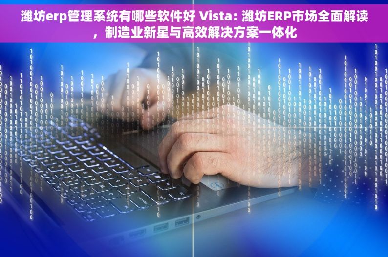 潍坊erp管理系统有哪些软件好 Vista: 潍坊ERP市场全面解读，制造业新星与高效解决方案一体化