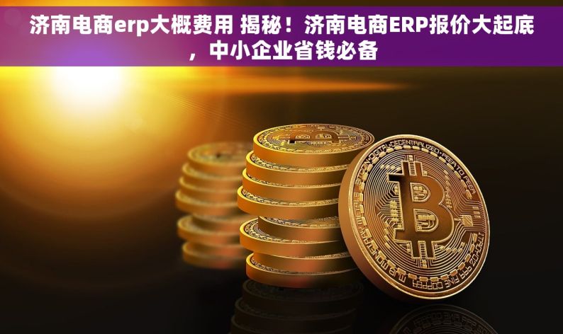 济南电商erp大概费用 揭秘！济南电商ERP报价大起底，中小企业省钱必备