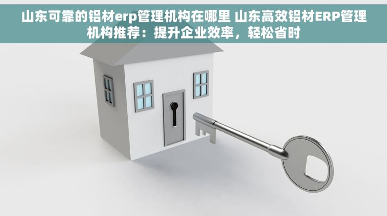 山东可靠的铝材erp管理机构在哪里 山东高效铝材ERP管理机构推荐：提升企业效率，轻松省时