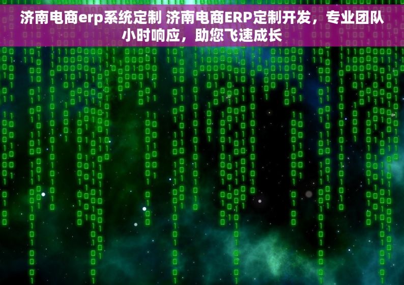 济南电商erp系统定制 济南电商ERP定制开发，专业团队小时响应，助您飞速成长