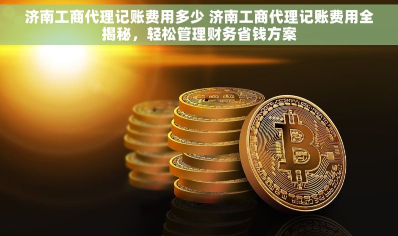 济南工商代理记账费用多少 济南工商代理记账费用全揭秘，轻松管理财务省钱方案