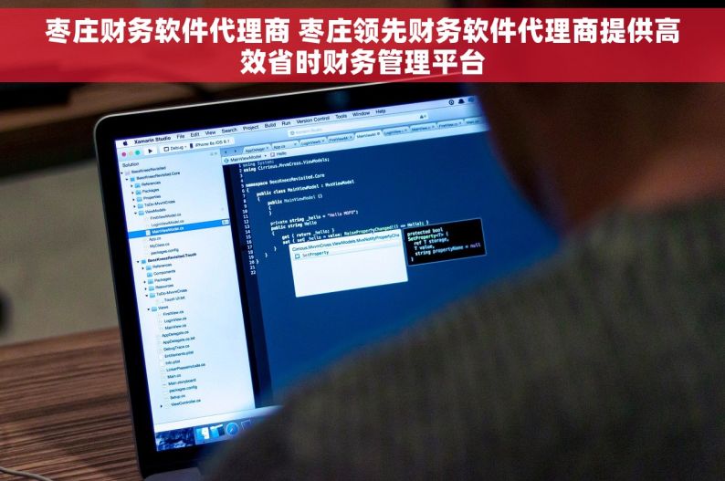 枣庄财务软件代理商 枣庄领先财务软件代理商提供高效省时财务管理平台