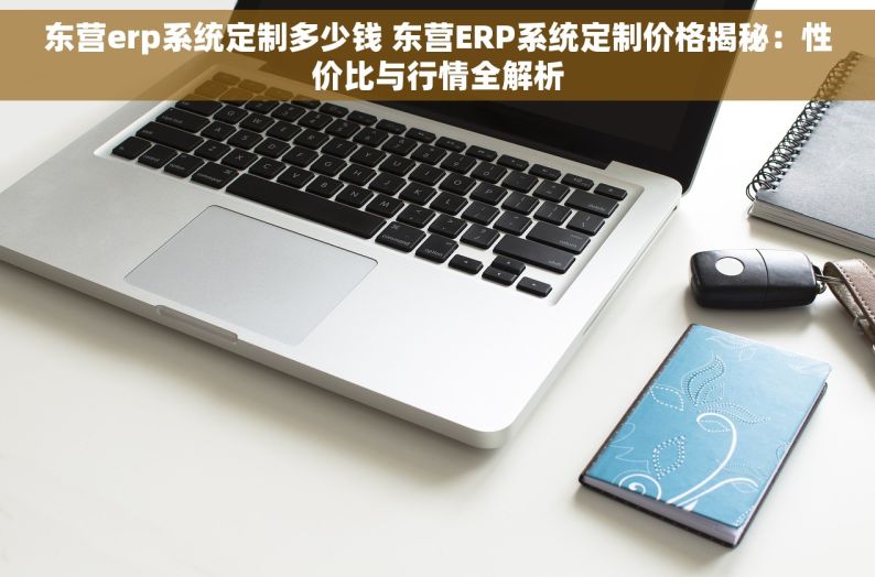 东营erp系统定制多少钱 东营ERP系统定制价格揭秘：性价比与行情全解析