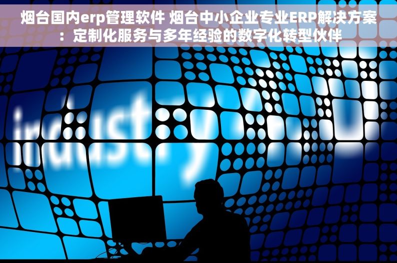 烟台国内erp管理软件 烟台中小企业专业ERP解决方案：定制化服务与多年经验的数字化转型伙伴