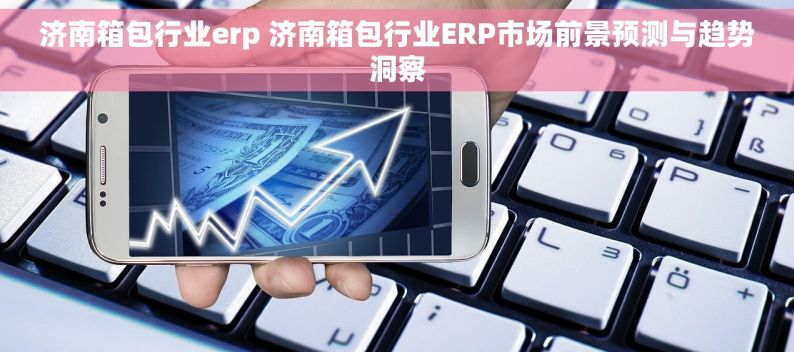 济南箱包行业erp 济南箱包行业ERP市场前景预测与趋势洞察