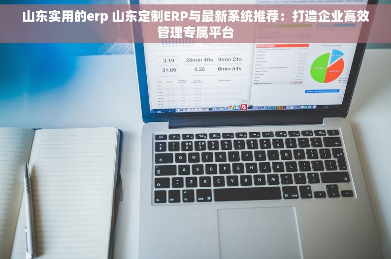 山东实用的erp 山东定制ERP与最新系统推荐：打造企业高效管理专属平台